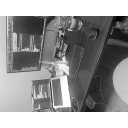input_1.orig.png