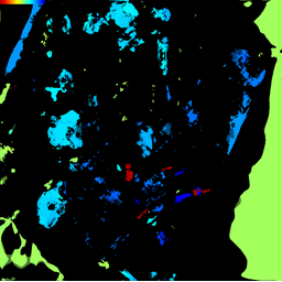 mgm_disparity.png