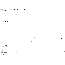 input_0.orig.png