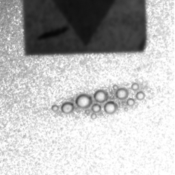 input_1.orig.png