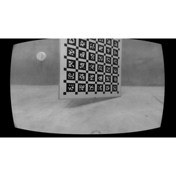 input_0.png